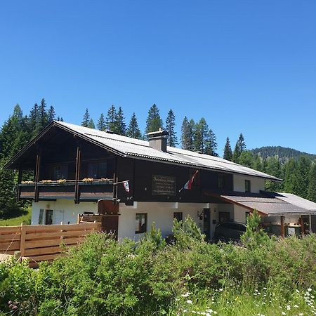 Ferienhaus Schaefer - Apartments - Wintersports - Family Holiday - Holiday With Your Dog - Rural & Scenic Flattnitz Dış mekan fotoğraf