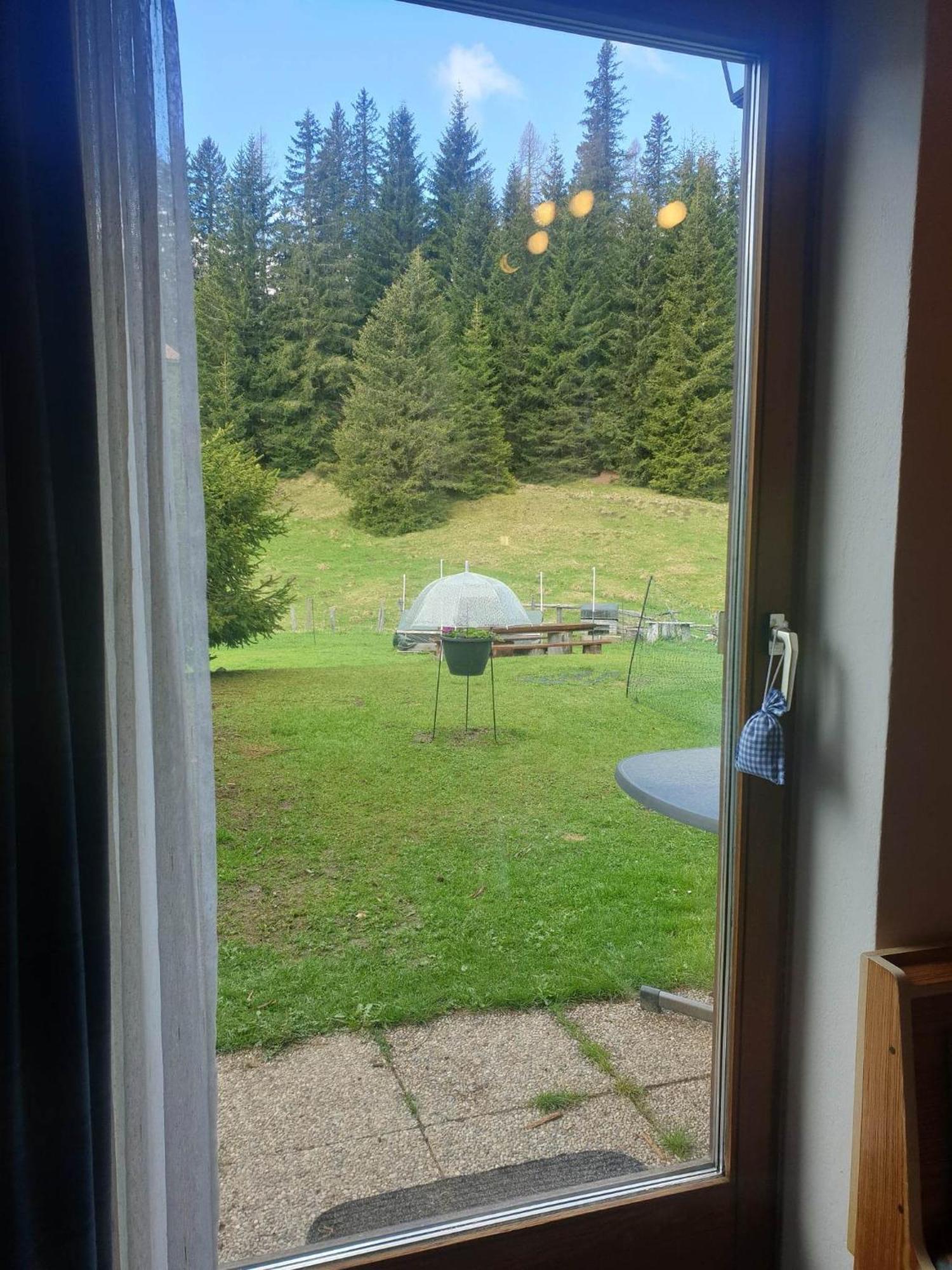 Ferienhaus Schaefer - Apartments - Wintersports - Family Holiday - Holiday With Your Dog - Rural & Scenic Flattnitz Dış mekan fotoğraf