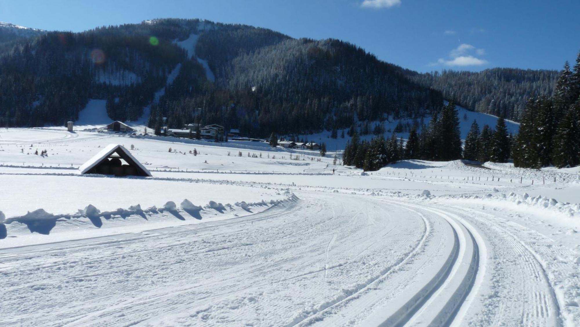 Ferienhaus Schaefer - Apartments - Wintersports - Family Holiday - Holiday With Your Dog - Rural & Scenic Flattnitz Dış mekan fotoğraf