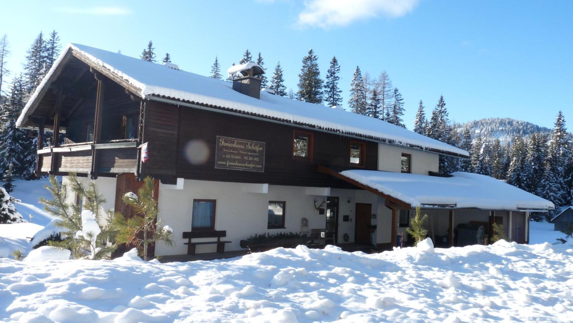 Ferienhaus Schaefer - Apartments - Wintersports - Family Holiday - Holiday With Your Dog - Rural & Scenic Flattnitz Dış mekan fotoğraf