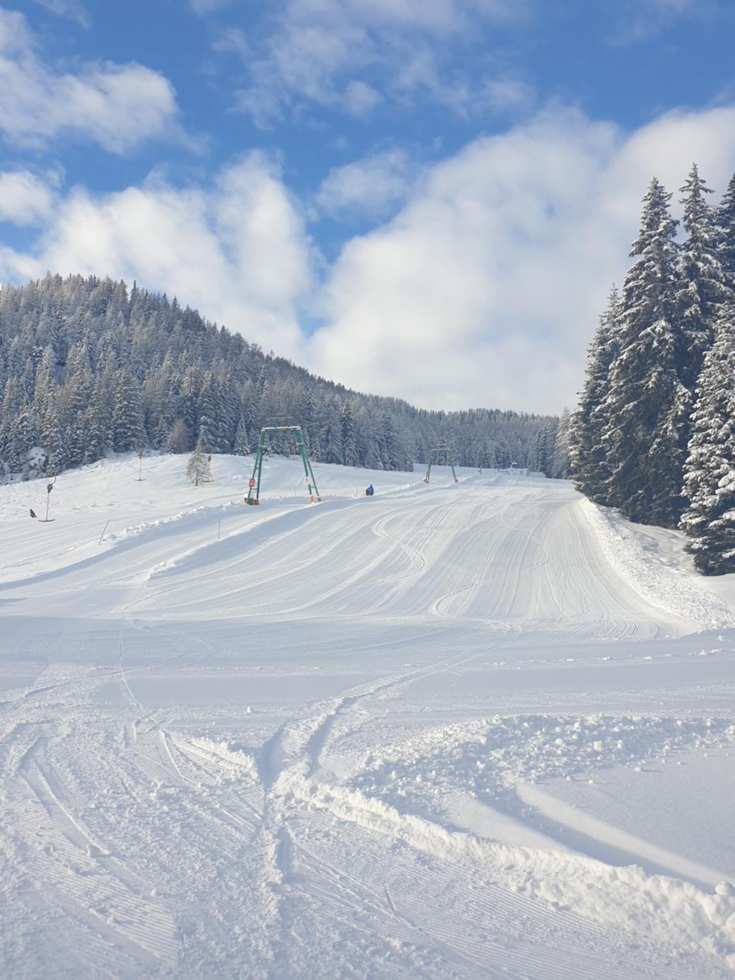 Ferienhaus Schaefer - Apartments - Wintersports - Family Holiday - Holiday With Your Dog - Rural & Scenic Flattnitz Dış mekan fotoğraf