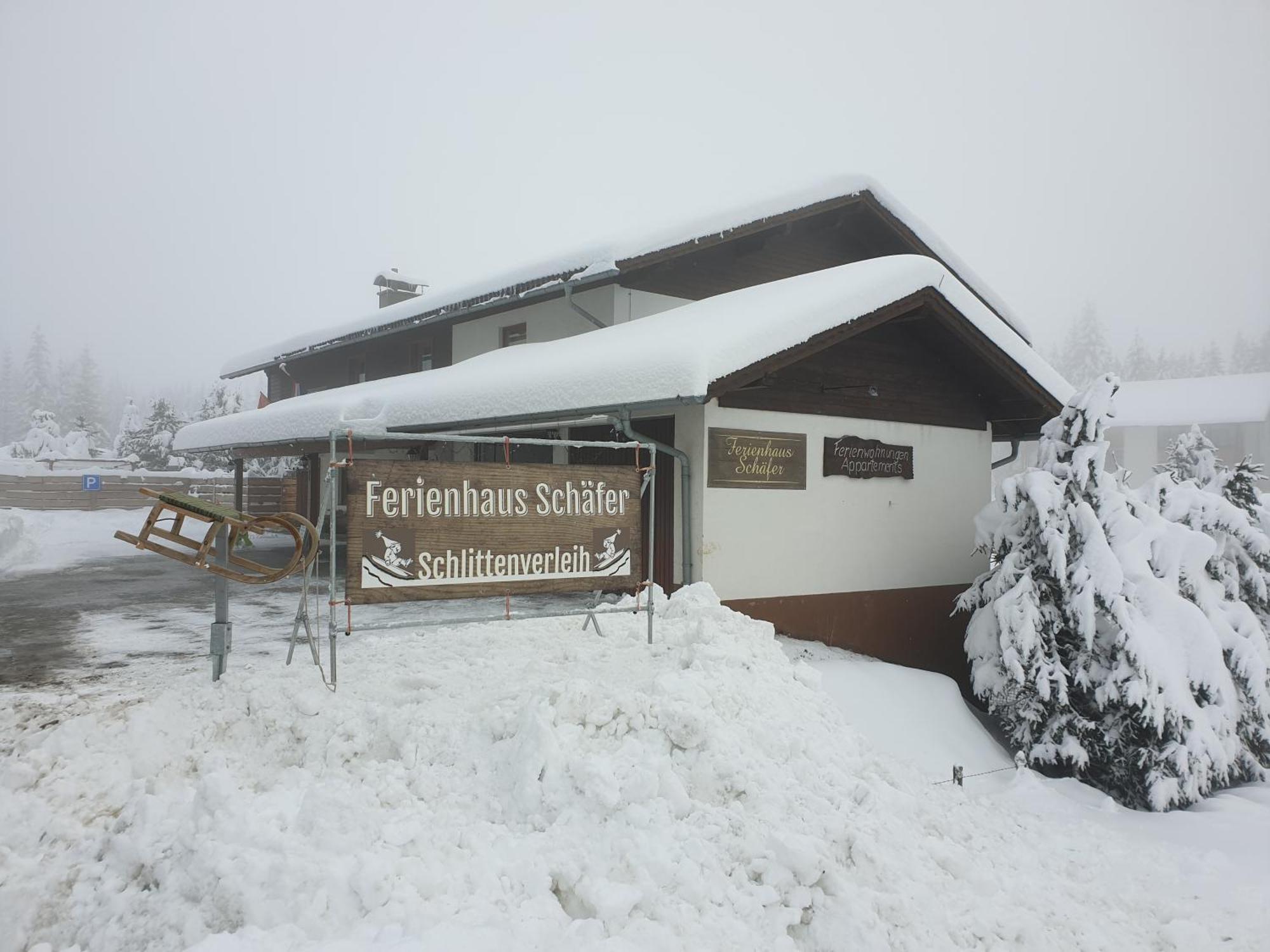 Ferienhaus Schaefer - Apartments - Wintersports - Family Holiday - Holiday With Your Dog - Rural & Scenic Flattnitz Dış mekan fotoğraf