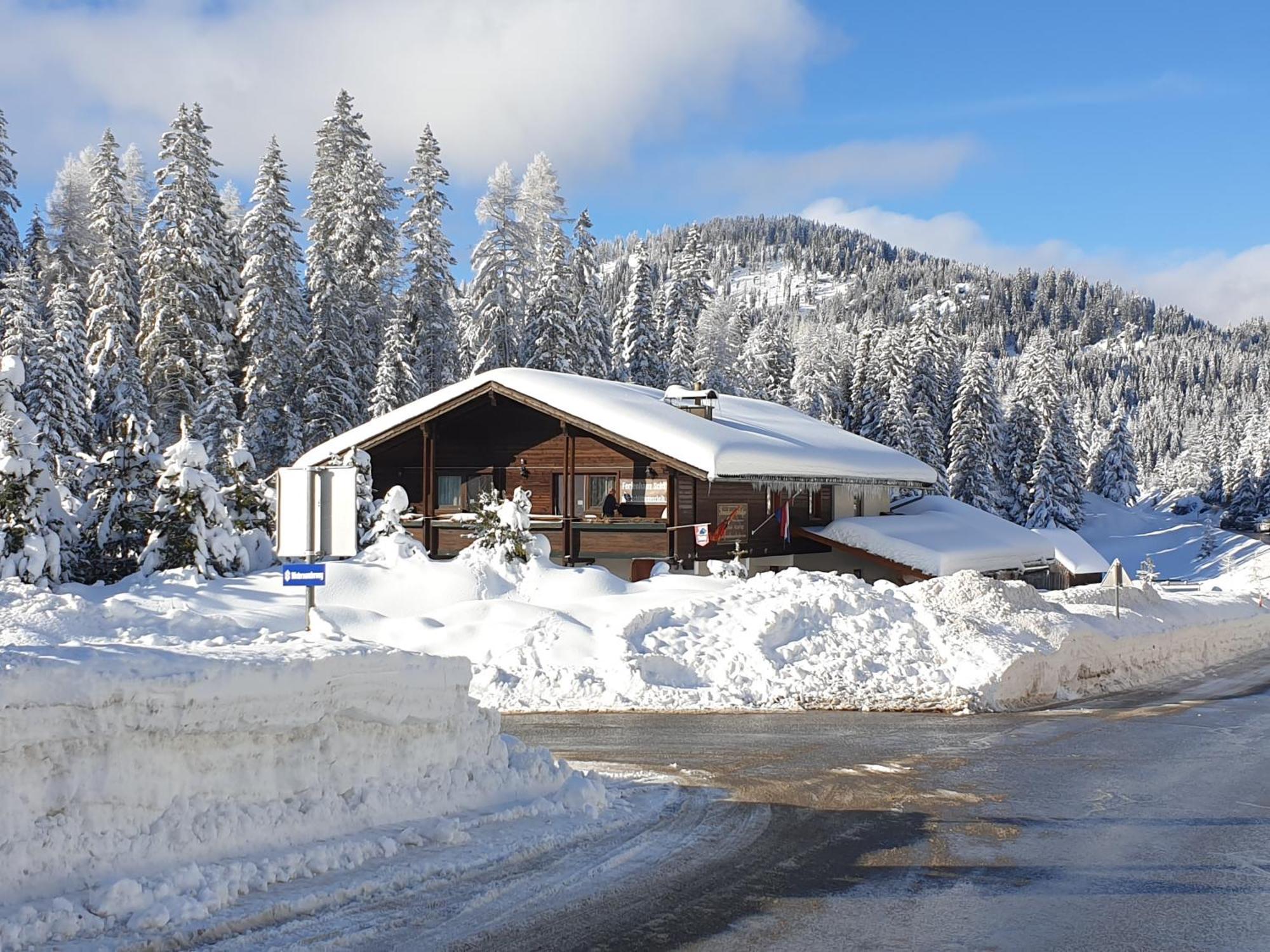 Ferienhaus Schaefer - Apartments - Wintersports - Family Holiday - Holiday With Your Dog - Rural & Scenic Flattnitz Dış mekan fotoğraf
