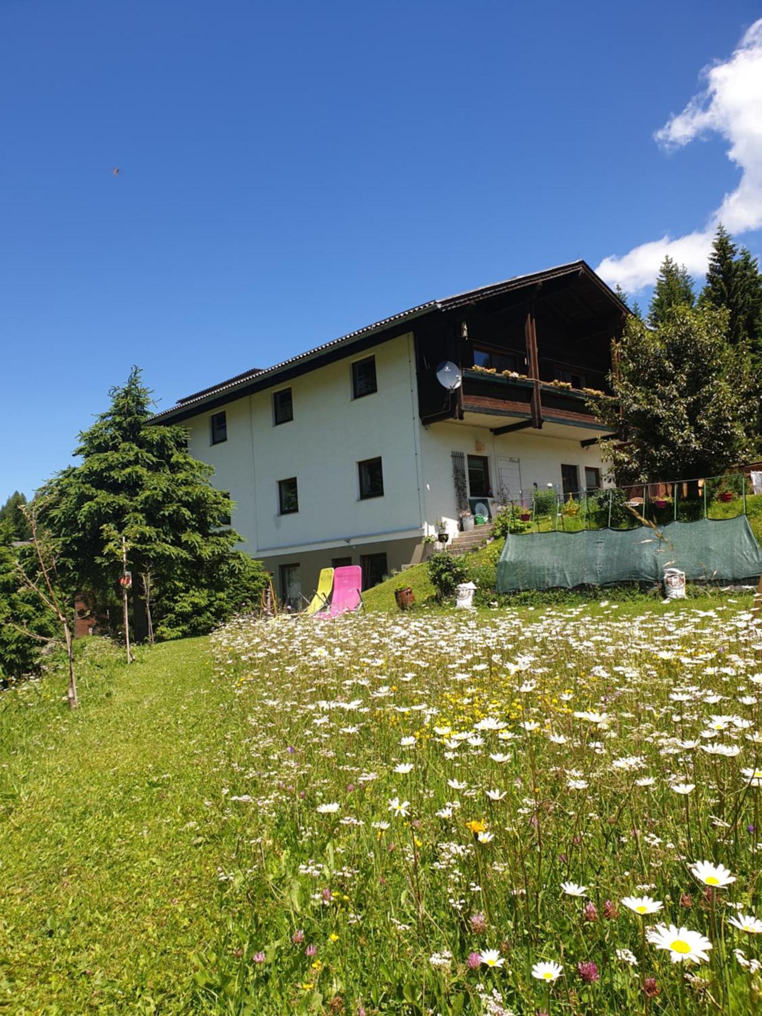 Ferienhaus Schaefer - Apartments - Wintersports - Family Holiday - Holiday With Your Dog - Rural & Scenic Flattnitz Dış mekan fotoğraf