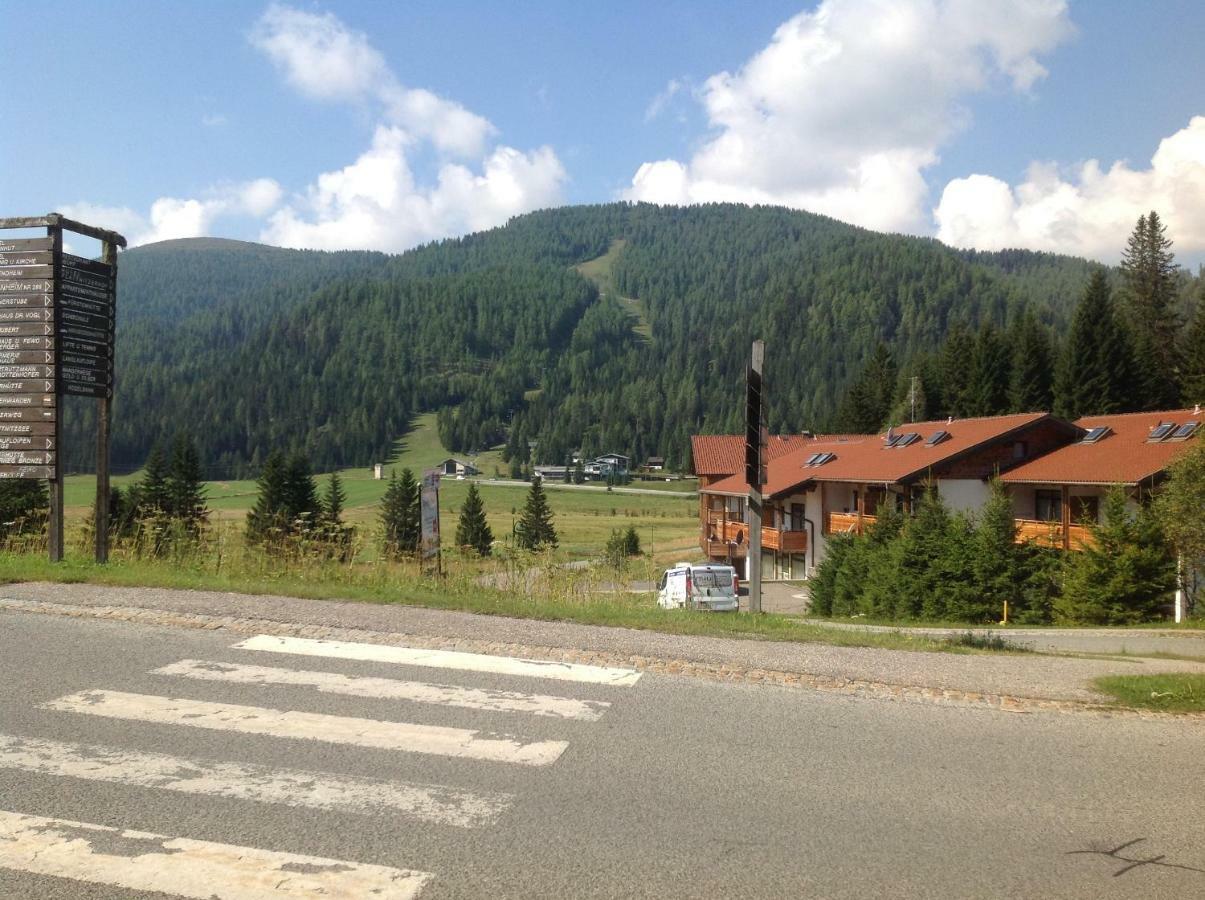 Ferienhaus Schaefer - Apartments - Wintersports - Family Holiday - Holiday With Your Dog - Rural & Scenic Flattnitz Dış mekan fotoğraf