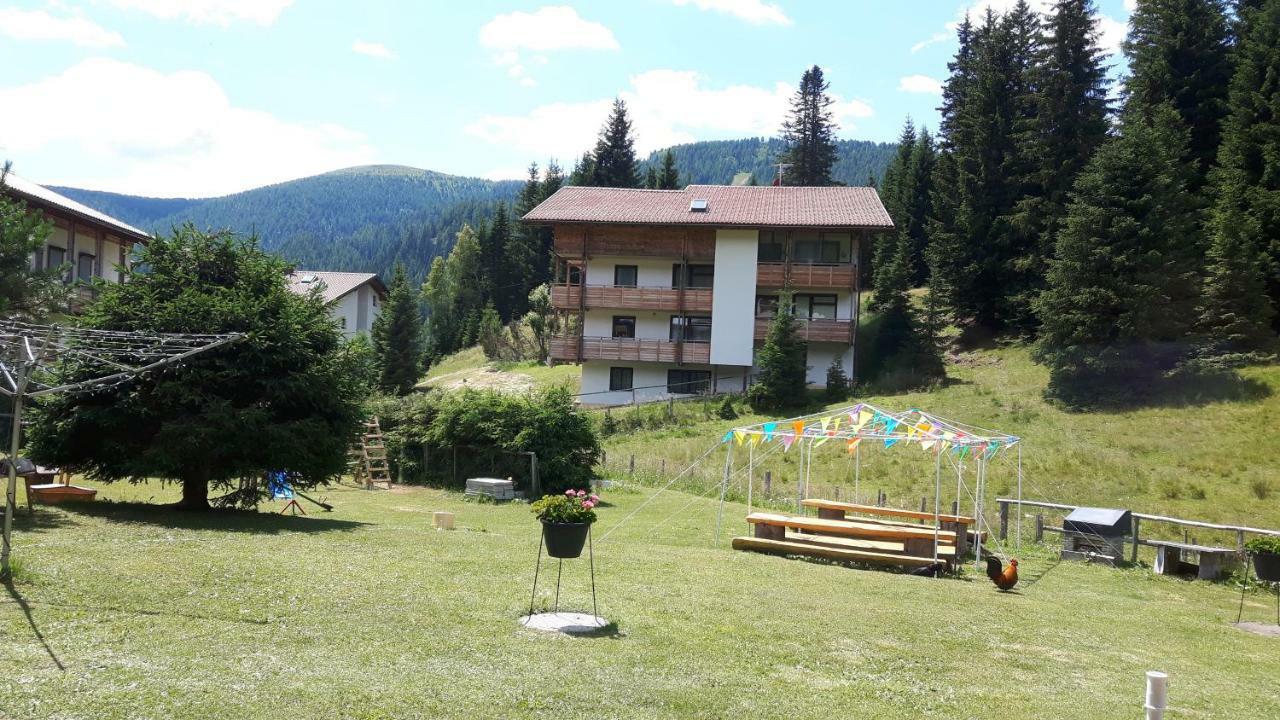 Ferienhaus Schaefer - Apartments - Wintersports - Family Holiday - Holiday With Your Dog - Rural & Scenic Flattnitz Dış mekan fotoğraf